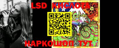 стаф Будённовск